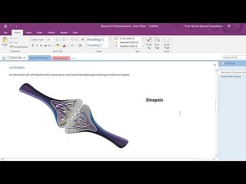 ¿Cómo usar One Note para ESTUDIAR?