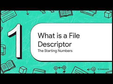C File Descriptors