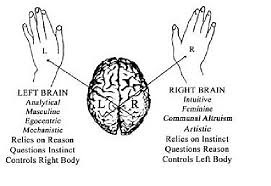 Split Brain Theory (Sperry & Gazzaniga)