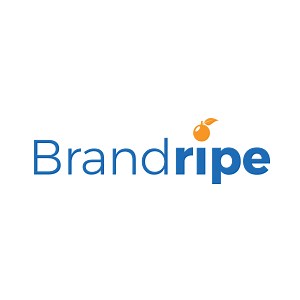 Graphic design service in Malaysia | Brandripe