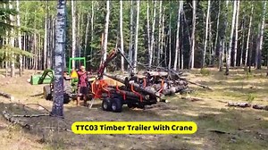 RIMA 1.5Ton Small Log Loader Trailer With Crane for Sale