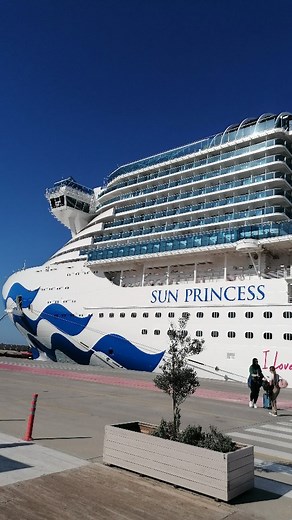 Here's a quick overview of the Princess Cruise Medallion app. Remember, if you're on Princess Plus or Princess Premier room service is available at no extra cost  #iloveprincess #herecomesthesun #princesscruises #sunprincesscruise | KT Travel Dundalk | Facebook