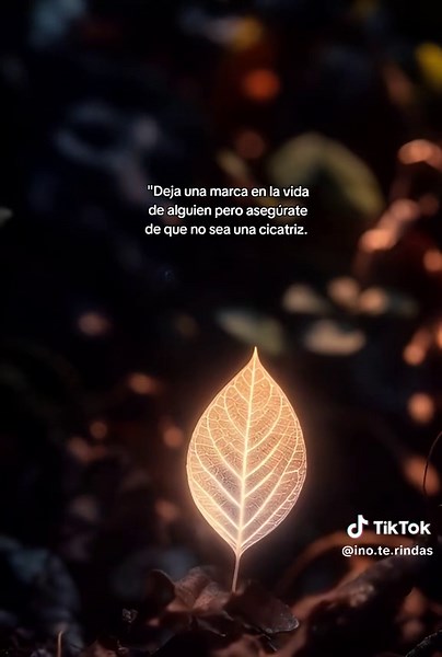 Impacting Lives Positively: Daily Motivation