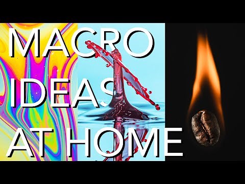 11 AMAZING Macro Photo Ideas to Try At Home
