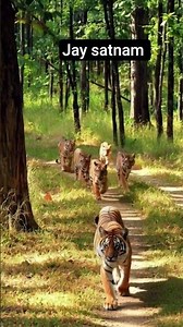 गुरु घासीदास बाबा जी का आशीर्वाद