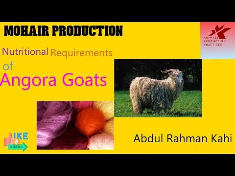 Mohair Production |Angora goats feeding requirements |Fibre production