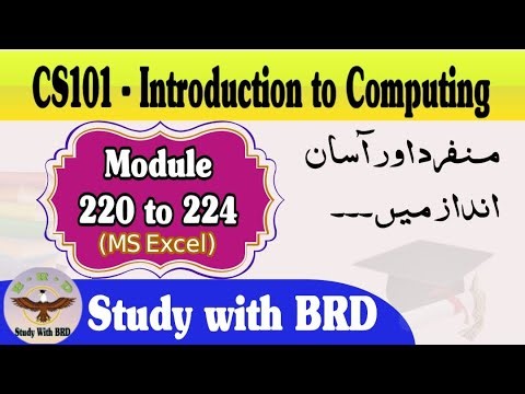 CS101 Lecture 220 to 224 | MS Excel | Introduction to Computing | CS101 Short Lectures