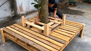 Creative Tree Bench Ideas Using Only Two Old Pallets To Enhance Outdoor Garden Spaces