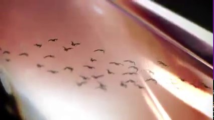 2.6K views · 65 reactions | A symbol of the infinite road toward a future of innovation. Experience INFINITI’s evolved logo. Learn more. https://spr.ly/6184O78m2 #INFINITI | INFINITI | Facebook