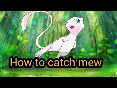 Pokémon Revolution Online: How to Catch Mew (Complete Guide)#pro mew quest #pro walkthrough