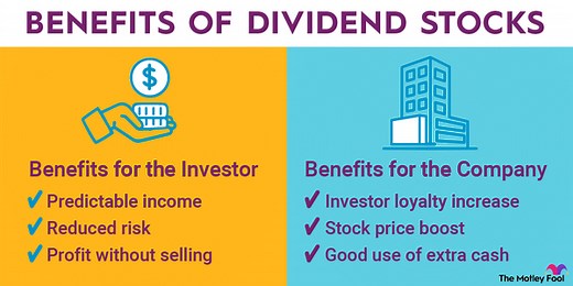 Best Dividend Stocks to Buy & Hold in 2025 | The Motley Fool