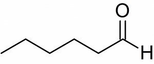 Hexanal - Alchetron, The Free Social Encyclopedia