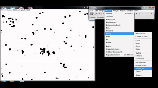 ImageJインストール方法と使用事例 - 日本の科学と技術