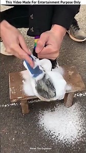 Building Wooden Log Cabin in Forest 🌲🤯 | Survival House Step by Step"7 #facts #amazingfacts