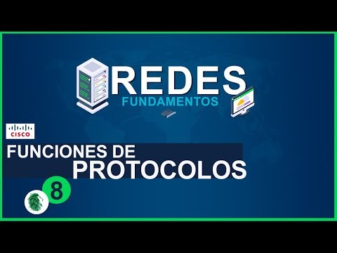 Learn about network protocols and their functions