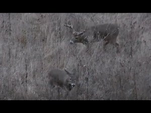 New Product: Advantage Hunting Introduces Dual Threat Blind