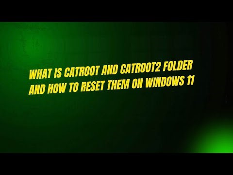 What is Catroot and Catroot2 Folder and How to Reset Them on Windows 11