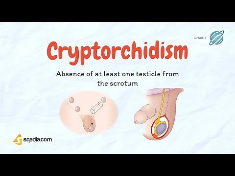 Cryptorchidism | Undescending Testicles | Causes, Pathology | Pediatrics Video Lecture