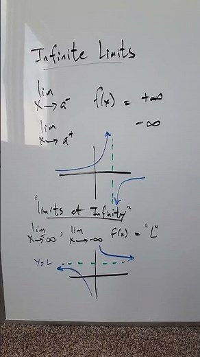 "Infinite Limits" & "Limits at Infinity" Defined