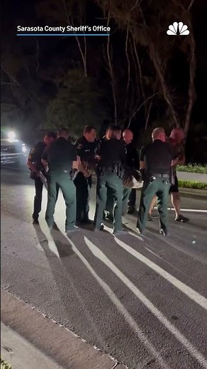 Deputies in Florida remove 14-foot, 600-pound alligator | NBC New York