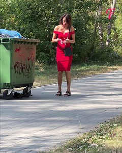 Putting a fake spider under the rubbish bin | Fabiosa Australia