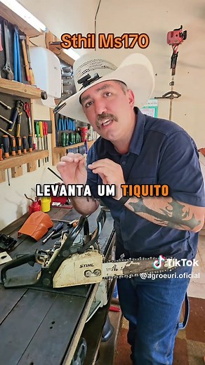 Como Regular Carburador da Motosserra Stihl MS170