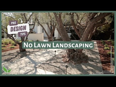 NO GRASS Front Yard Ideas | Xeriscape Landscape Design Tips from a Landscape Designer!