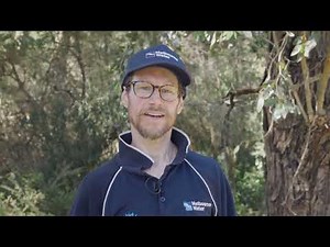 Frogging 101: Planning a Frogging Trip