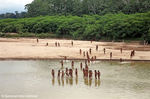 Uncontacted tribes are primary conservationists, they must be protected | Sounds and Colours