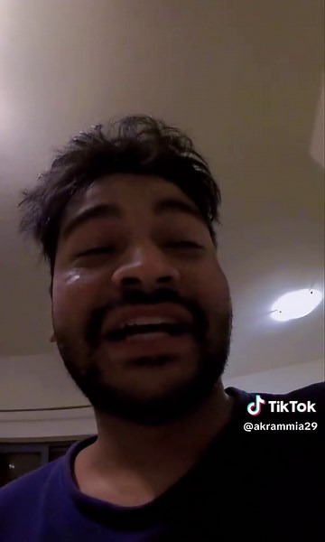 Exploring Insect Sounds at Night