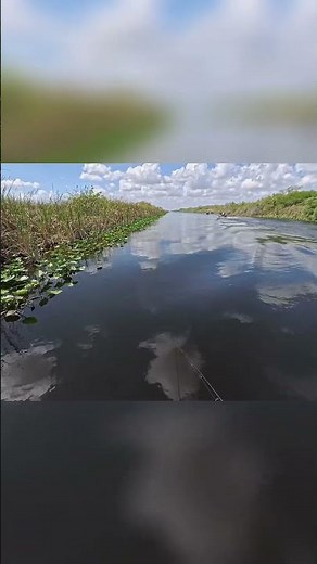 Deep Frying Fish Juicy & Crispy Every Time!
