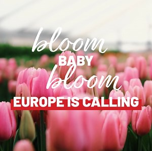 2.5K views · 22 reactions | Spring into Europe this March!  From stunning flower fields to idyllic landscapes, it's the perfect time to explore. Book your spring getaway today ➡️ https://bit.ly/3QtXQsc | Expat Explore Travel | Facebook