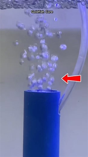 Aquarium Filter DIY — Super Effective! 🤯💦#aquariumfilter #diyfilter #shorts