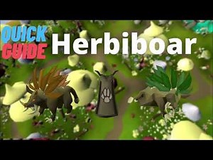 [Quick Guide] OSRS Herbiboar (150k xp/h)
