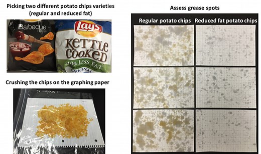 Spot the Fat in Your Snack | STEM Activity