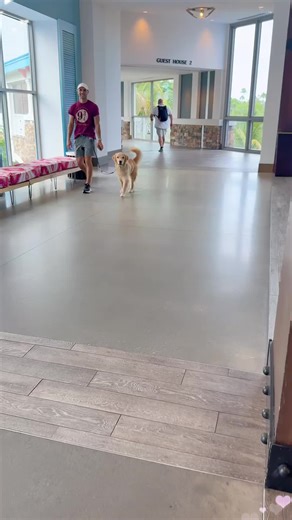 Testing My Dog's Awareness on a Walk