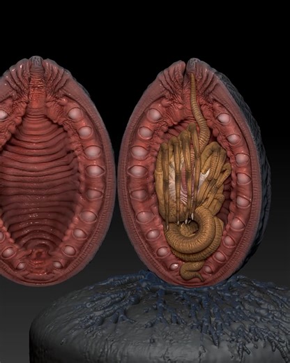 John Chen explained how he created a facehugger egg from Alien inspired by H.R. Giger's concept, showed the work with Sculptris Pro, and demonstrated the texturing process using PolyPaint.