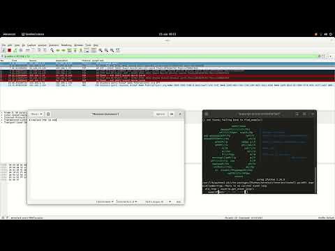 Send a simple TCP packet with a message using Scapy
