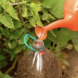 77K views · 216 reactions | Simple tips for a thriving garden! | Green Bean | Facebook