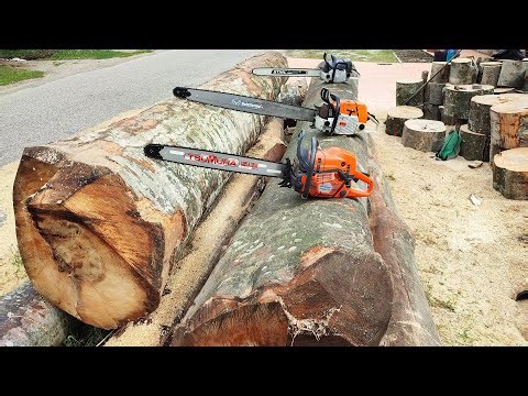 11 Septembrie 2022 - Big chainsaws for big wood (Stihl 084, Husqvarna 585 & FarmerTec G660 Pro)