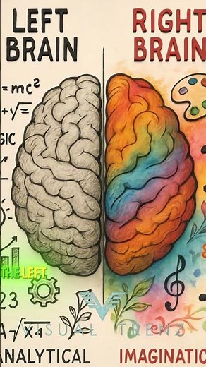 Left Brain vs Right Brain: Unlock Your Full Potential #BrainFacts #Shorts