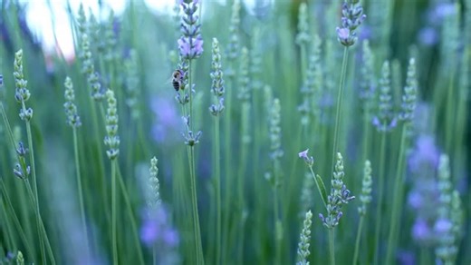 Struggling with an unresponsive touch screen? Watch this video to learn how to fix it fast! #HPSupport | HP Support