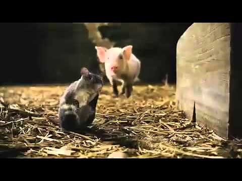 Charlotte's Web Official Trailer!