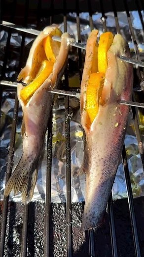 Smoked Rainbow Trout recipe | Delicious and Easy ‪@the_dudenetwork‬ | Z Grills