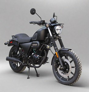 Ghost Cruiser 250cc Chopper | DF250RTB-20