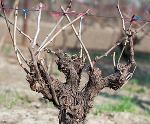 I Recommend WPX Hosting