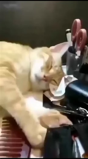 lovely cat on Instagram: "n Japan, researchers are using smart walkways to turn everyday activities into clean energy 4. These roads are embedded with special piezoelectric material that can collect kinetic energy from pedestrians' footsteps. When people walk, run or jump, the road surface is slightly deformed, creating mechanical pressure. Piezoelectric crystals convert this pressure into electrical energy. This energy can be used to illuminate street lights, power public displays, and even mon