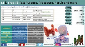 Free T3 Test Purpose, Procedure, Result Interpretation and more