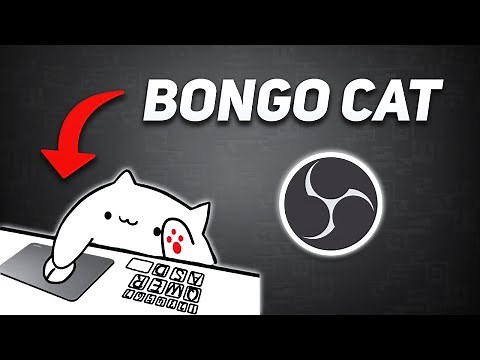 Set Up Animated Bongo Cat Overlay in OBS! (SUPER EASY)