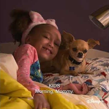 Cheaper By The Dozen official Trailer [ HD] 4K